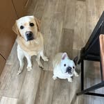 Darryl Keller - @darryl.keller.104 - Instagram