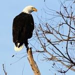Darryl Kelley - @dkelleyr - Instagram