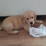 Darryl Kemp - @darrylkemp29 - Instagram