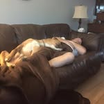 Darryl Kinzer - @dkinzer27 - Instagram