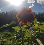 Darryl Klatt - Facebook