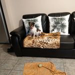 Darryl klein - @darrylklei - Instagram
