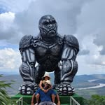 Darryl Knowles - @robk911 - Instagram