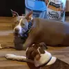 darrylkramer1 - @darryl.kramer - TikTok