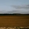 Daryl Kramer - @daryl.kramer - TikTok