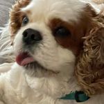 Darryl Lamar - @redhorse4023 - Instagram