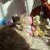 Larry Darryl - Facebook
