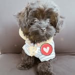 Darryll Austin Sumady - @darryllaustin - Instagram