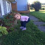 Darryl Chislett - @darrylchislett - Instagram