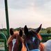 Darryl Lott - Facebook