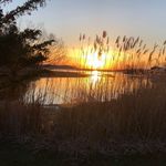 Darryl Shifflett - @shifflettdarryl - Instagram