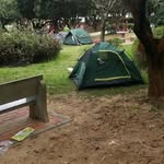 Darryl Levine - @hodahi5774 - Instagram