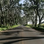 Darryl Levine - @bgolgmg8809 - Instagram