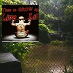 Darryl Liborio - @ddml75 - Instagram