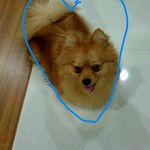 Darryl Lim Zhengyang - @_darrylzy_ - Instagram