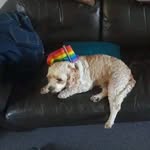 Darryllodge@gmail.com - @darryllodgegmail.com9 - Instagram