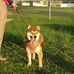 Darryl Loo - Facebook