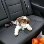 Darryl Lotten - @darryllotten - Instagram