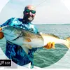 Daryl Lott - @daryllott73 - TikTok