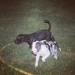 Darryl Lowery - @icyuxcompet - Instagram