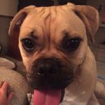 Darryl Lynch - @djlynch89 - Instagram