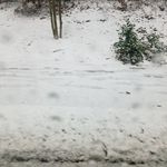 Darryl lynn - @darryllynn8814 - Instagram