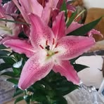 Darryl Lyons - Facebook