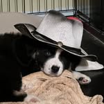 Darryl A MacDonald - @darrylmacdonald27 - Instagram