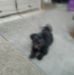 Darryl Mackey - Facebook