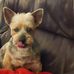 Daryl Mackie - Facebook