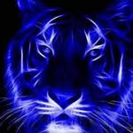 Darryl Mann - @mann_darryl - Instagram