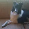 darrylprischmann - @darrylprischmann - TikTok
