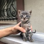 Darryl - @darrylmaster8 - Instagram