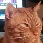 Darryl Masters - @darryl_masters - Instagram