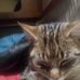 Darryl Marr - Facebook