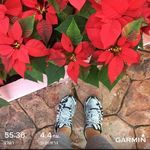 Darryl McDonald - @darrylmcdonald87 - Instagram