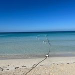 Darryl McGraw - @d.j.mcgraw - Instagram