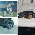 darryl jeffrey mckeehan - @darryljeffreymckee - Instagram