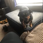 Daryl Mckee - @dlm_1969 - Instagram