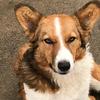 Darrel.Mcleod - @darrel.mcleod - TikTok