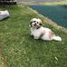 Darryl McLeod - Facebook