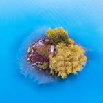 Darryl McLeod - @darryl_mcleod_photography - Instagram