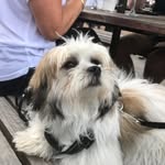 Darryl McLeod - @darryl_mcleod - Instagram