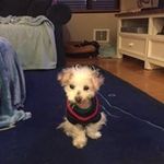 Darryl Mead - @toaster_repairman - Instagram