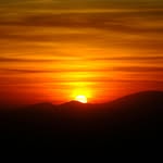 Darryl Meyer - @darrylmeyer13 - Instagram