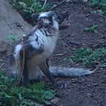 Darryl Meyer - @darryl.meyer.568 - Instagram