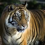 Darryl Meyers - @darryl.meyers - Instagram