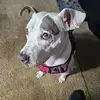 Darryl Mitchell - @darryl.mitchell98 - TikTok