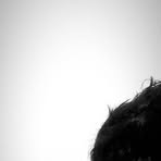 Darell Mix - Facebook