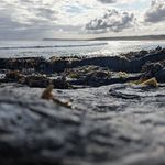 Darryl Morrell - @morrell_darryl - Instagram